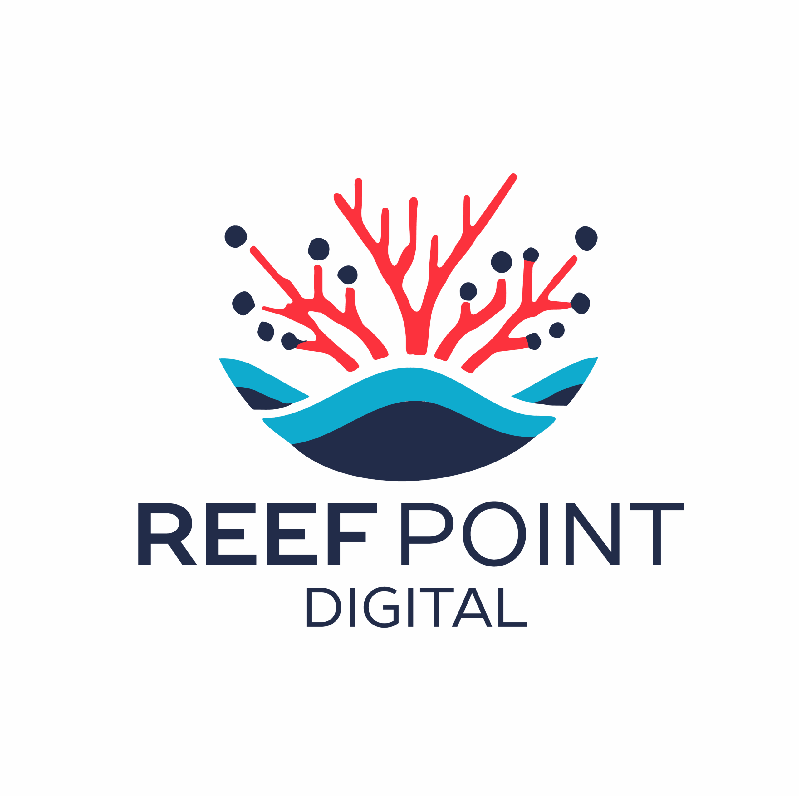 Reef Point Digital Logo